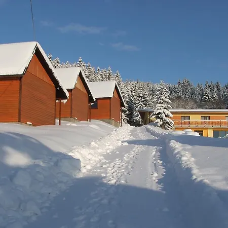 Orava